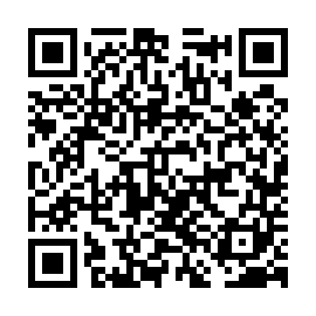 QR code for FFF541