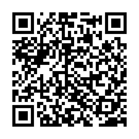 QR code for FFG308
