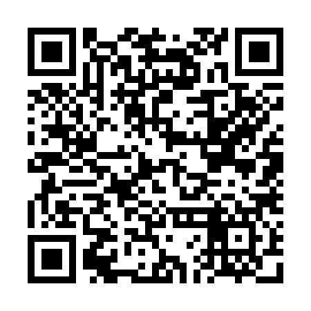 QR code for FFG387