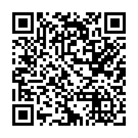 QR code for FFL335