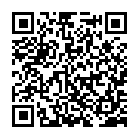 QR code for FFN994
