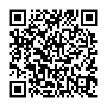 QR code for FFT341