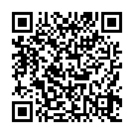 QR code for FFX538