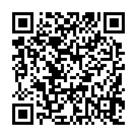 QR code for FFY394