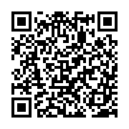 QR code for FGV343