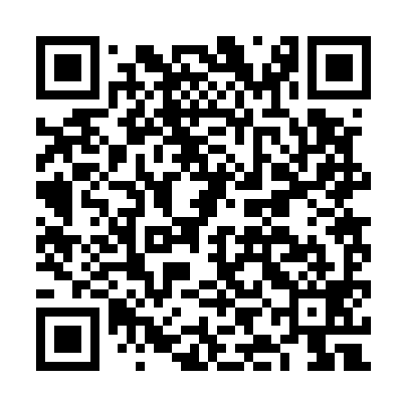 QR code for FIB599