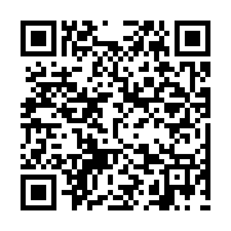 QR code for FIF377
