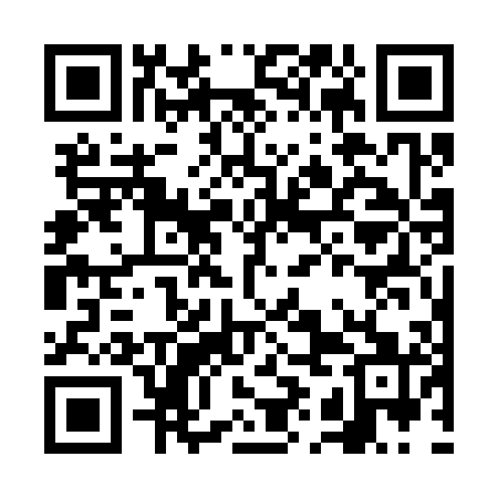QR code for FIG301