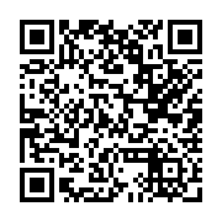 QR code for FIG331