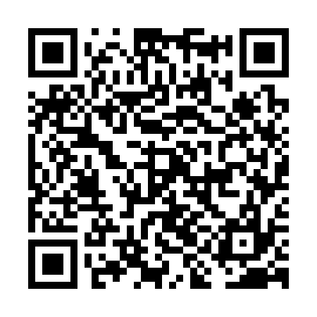 QR code for FIG337