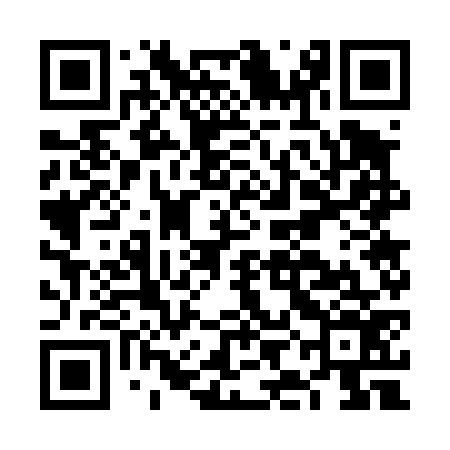 QR code for FIG476