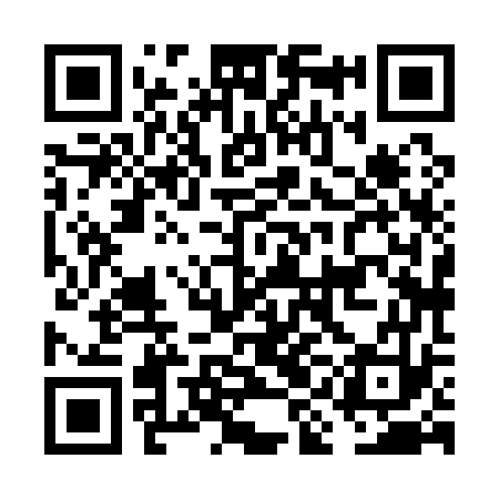 QR code for FIH173