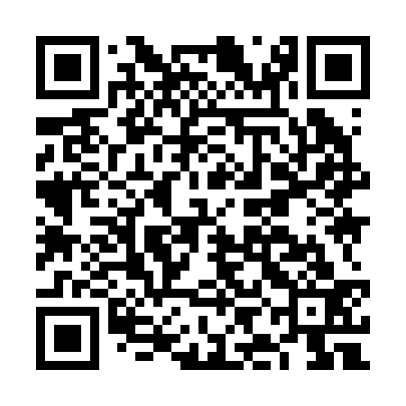 QR code for FII233