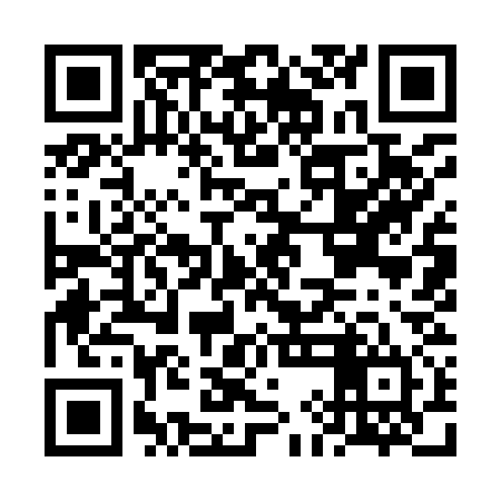 QR code for FII934