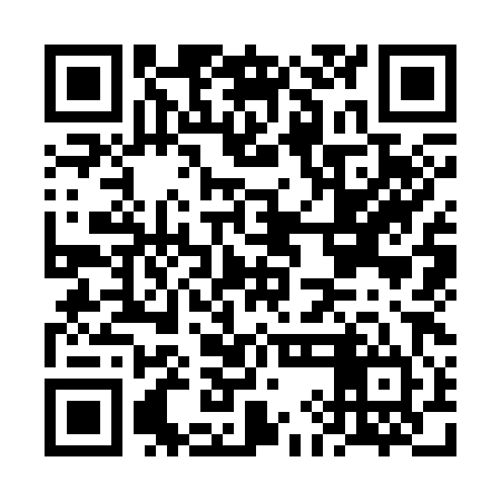 QR code for FIK384