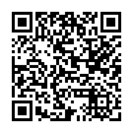 QR code for FIL919
