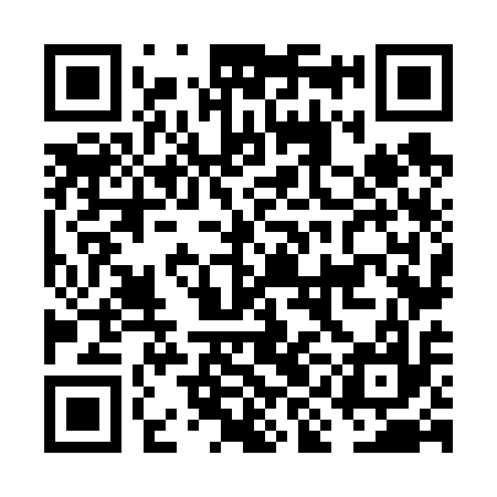 QR code for FIN617