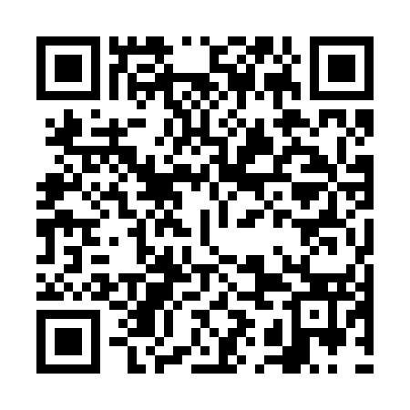 QR code for FIO253