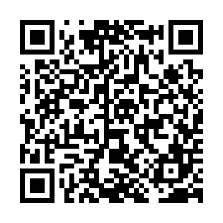 QR code for FIS306