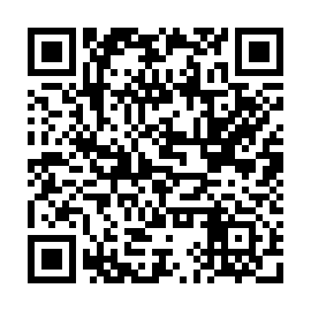 QR code for FIS313