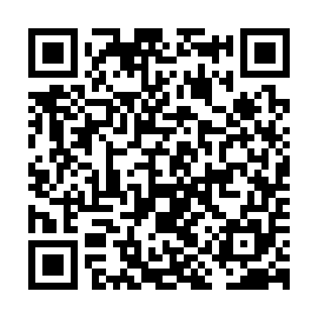 QR code for FIS355