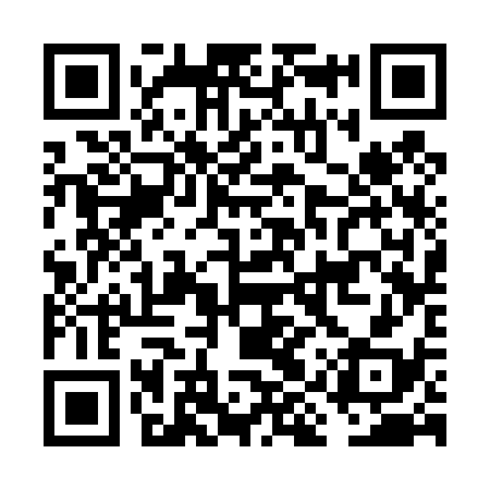 QR code for FIS438