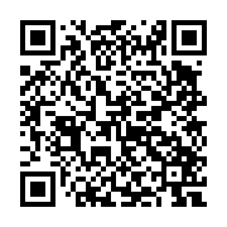 QR code for FIS447