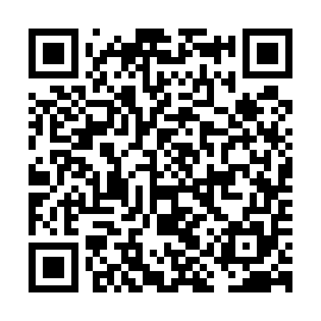 QR code for FIS555