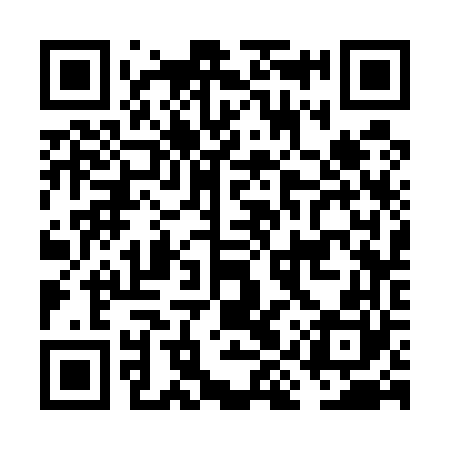 QR code for FIS560