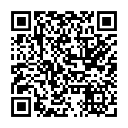 QR code for FIS987
