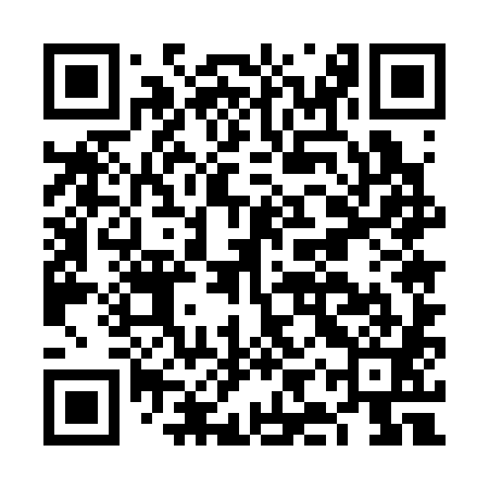 QR code for FIU381