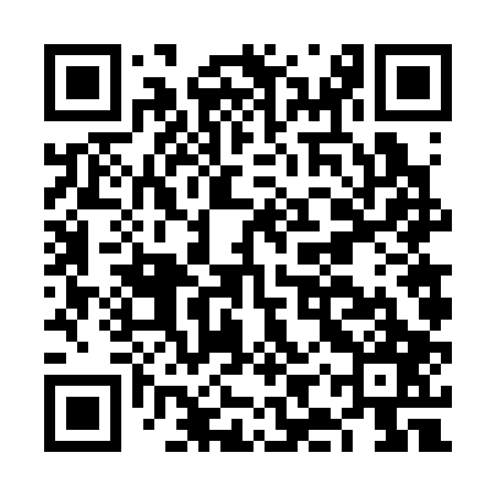 QR code for FIV307