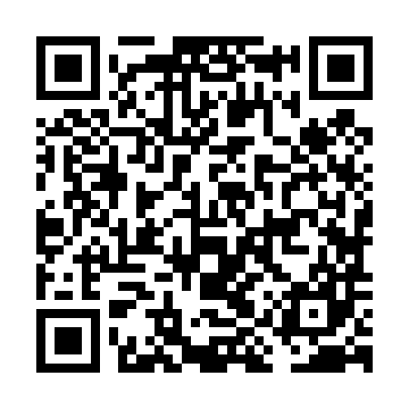 QR code for FIZ487