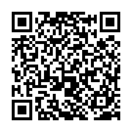 QR code for FIZ527