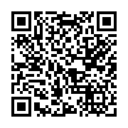 QR code for FJI307