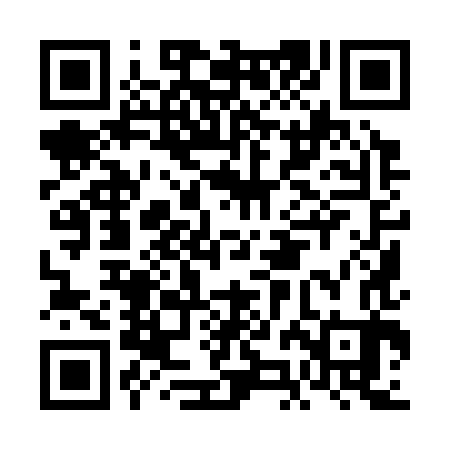 QR code for FJI383