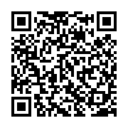 QR code for FJI499