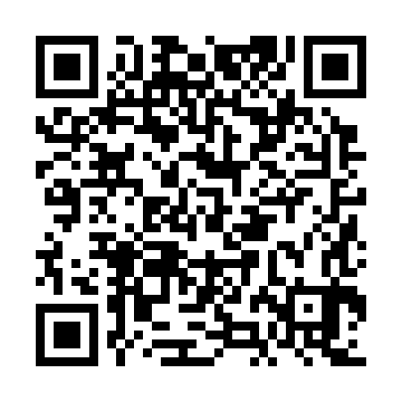 QR code for FJJ383