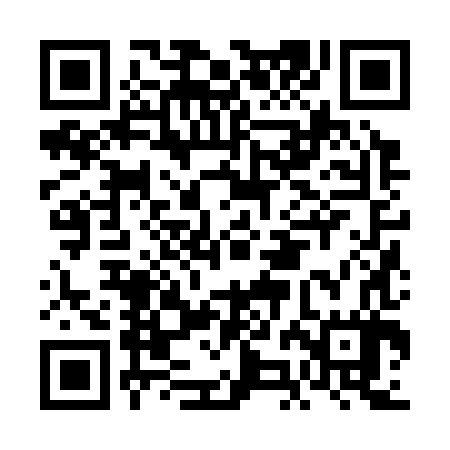 QR code for FJJ387
