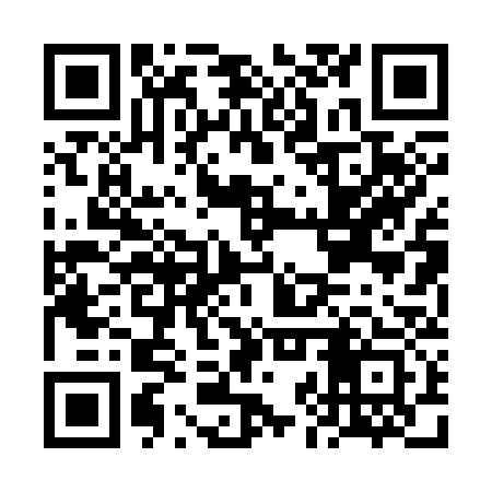 QR code for FJP333