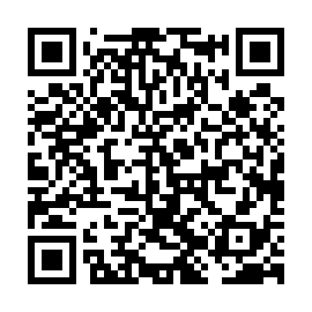 QR code for FJP538