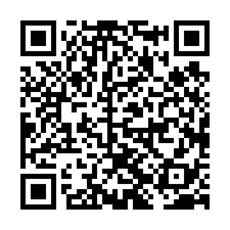 QR code for FJP638
