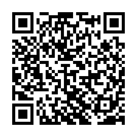 QR code for FJQ311