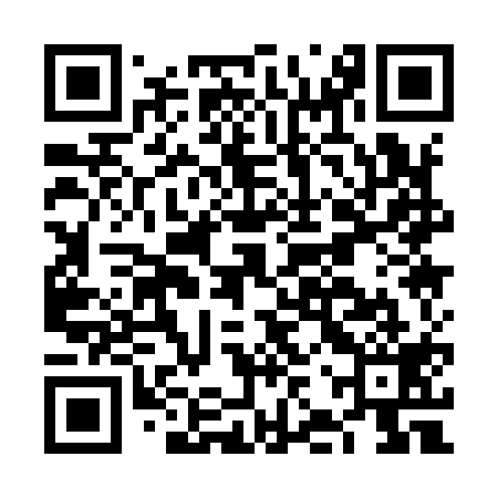 QR code for FJQ919