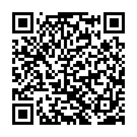 QR code for FJT313
