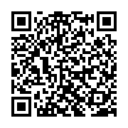 QR code for FJV329