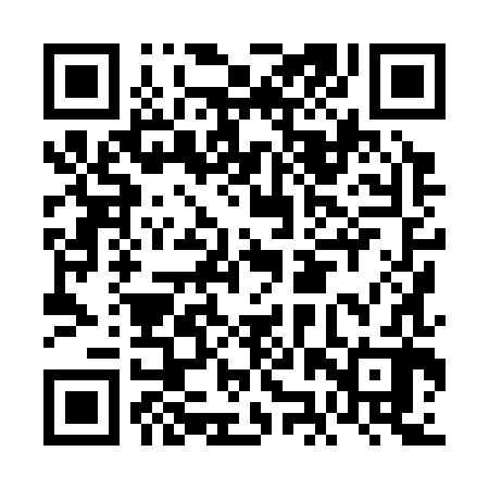 QR code for FJX382