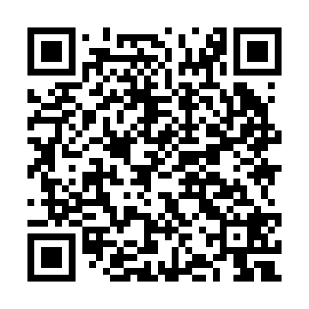QR code for FJY228