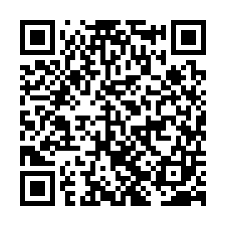 QR code for FJY303
