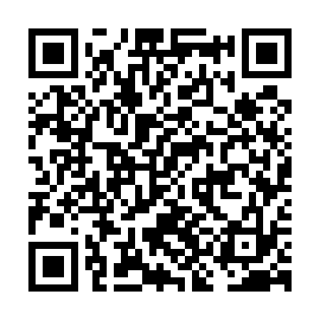 QR code for FKG533